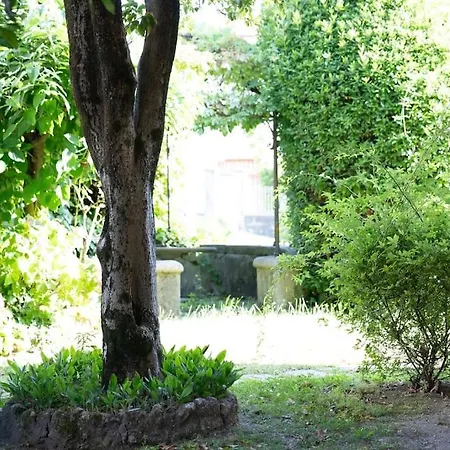 Casa Cometa Designer Attic